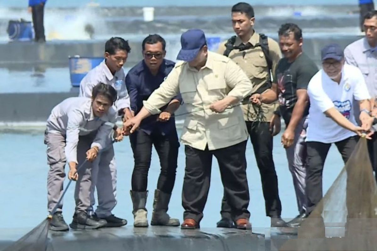 Presiden Prabowo Subianto hadiri panen raya udang di Tambak Budidaya Kebumen Jateng